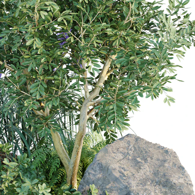 outdoor garden plants collection vol 69 — Скачать