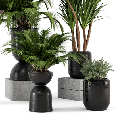 Indoor Plants in Ferm Living Bau Pot Large - Set 226 — Вид 6