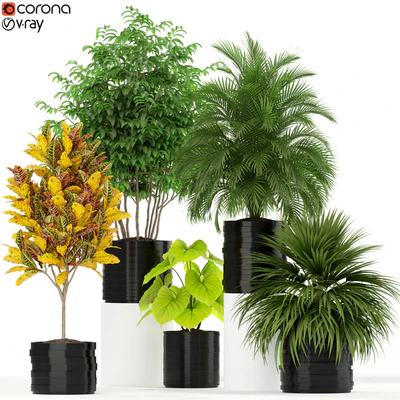Plants collection 183 — Вид 1