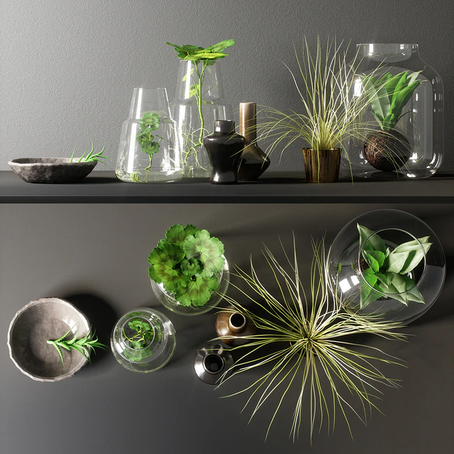 decorative set — Скачать