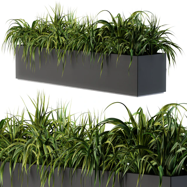 Ranch Grass plants in box - Outdoor Set 63 — Descargar