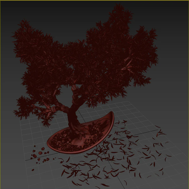 Household olive plant — Скачать