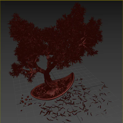 Household olive plant — Вид 6
