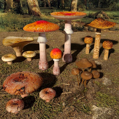 Грибы.Набор1 — Вид 3