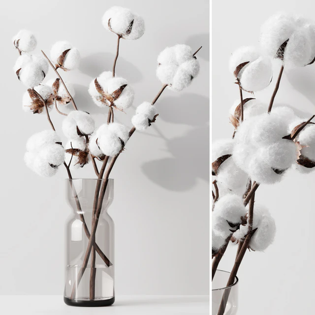Cotton — Descargar