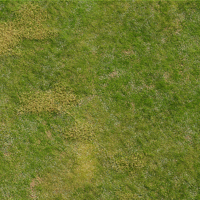 Realistic meadow grass — Descargar
