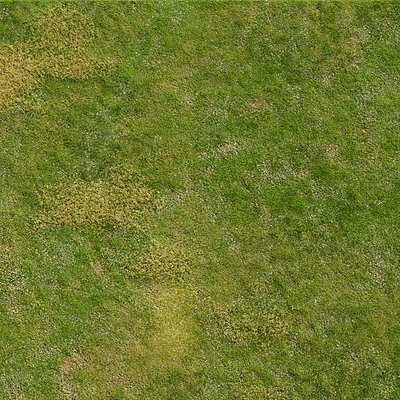 Realistic meadow grass — Ver 7