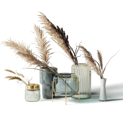 Set of 5 bouquets of dried flowers in glass vases — Ver 1