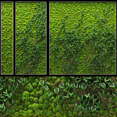Fitowall — Вид 1