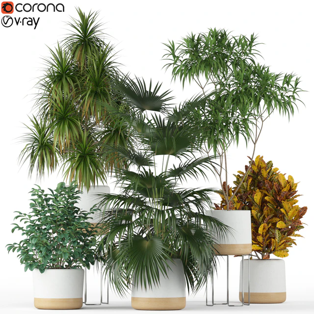 Plants collection 203 — Скачать