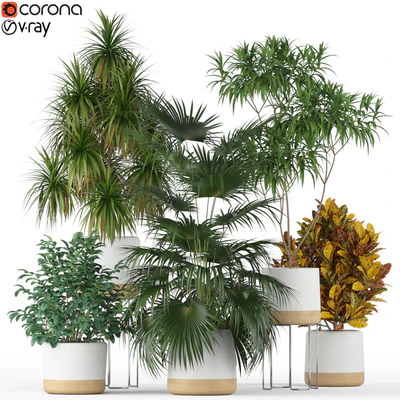 Plants collection 203 — Вид 1