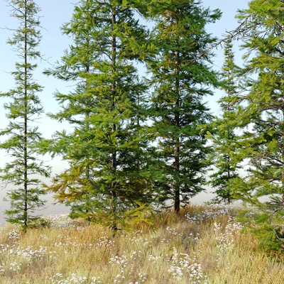 Fir tree 04 — Вид 6