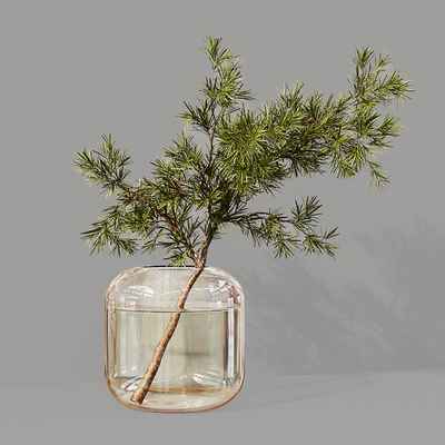 Collaction Indoor Plants 07 — Вид 5