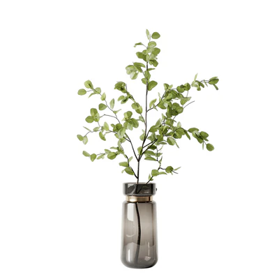 Plant 3 — Ver 7