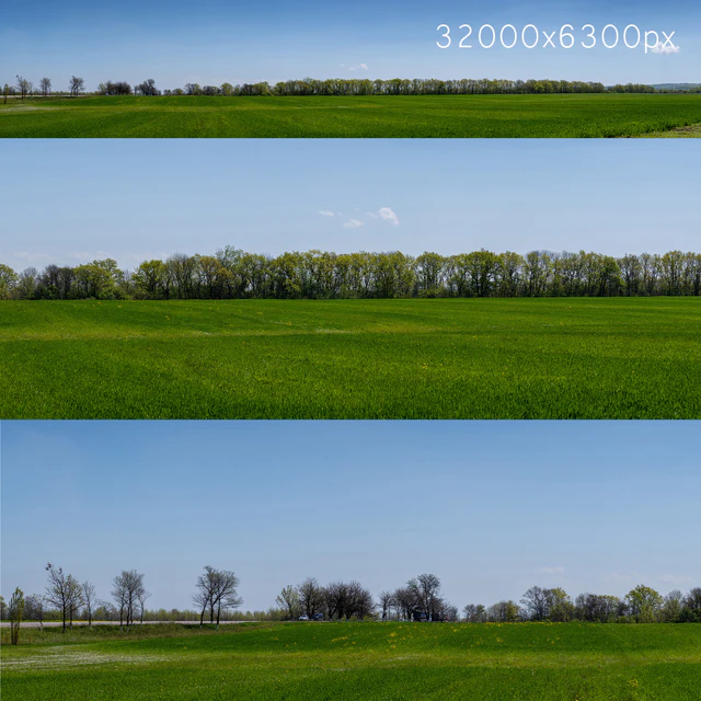 Panorama of a green field with flowers and trees. 32k — Descargar