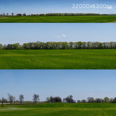 Panorama of a green field with flowers and trees. 32k — Ver 1