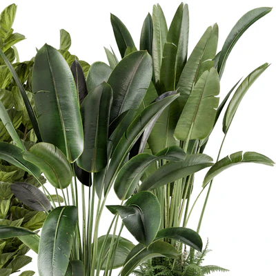 Indoor Planters in Cecilia Ficonstone Pot - Set 409 — Вид 6