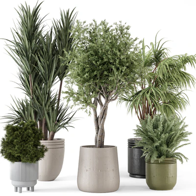 Indoor Plants in Ferm Living Bau Pot Large - Set 817 — Вид 1
