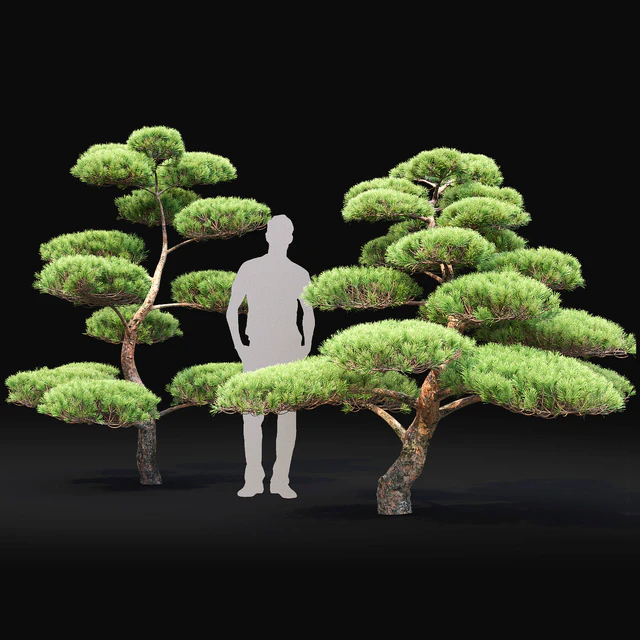 Bonsai — Descargar