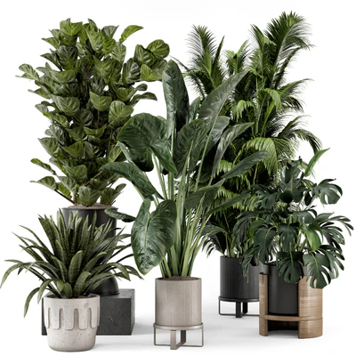 Indoor Plants in Ferm Living Bau Pot Large - Set 1188 — Ver 1
