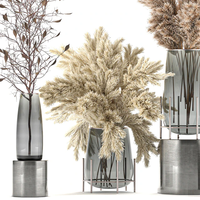 A collection of bouquets of dried flowers in glass vases with Pampas, branches, Cortaderia, pampas grass, reeds. Set 103. — Descargar