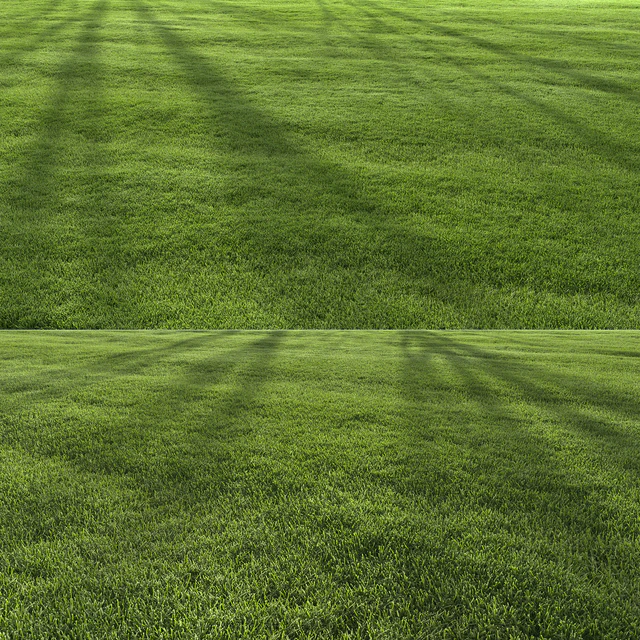 Garden Lawn 6 — Скачать