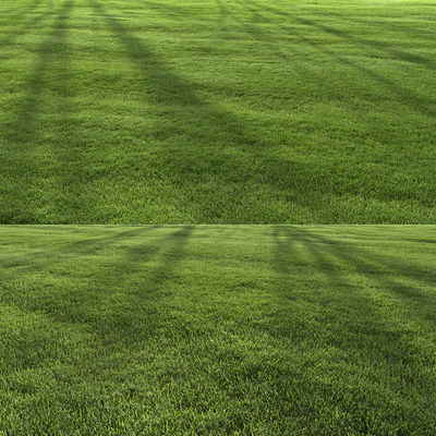 Garden Lawn 6 — Вид 6