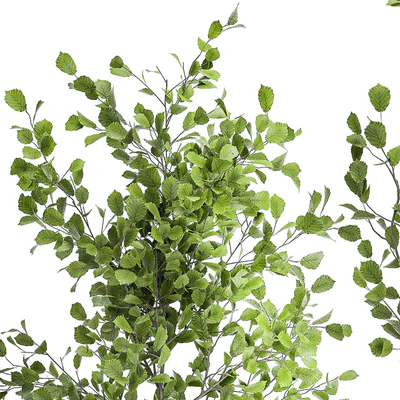Collection of plants in a pot with hazel, linden and reed trees, bushes. 1066 — Ver 6