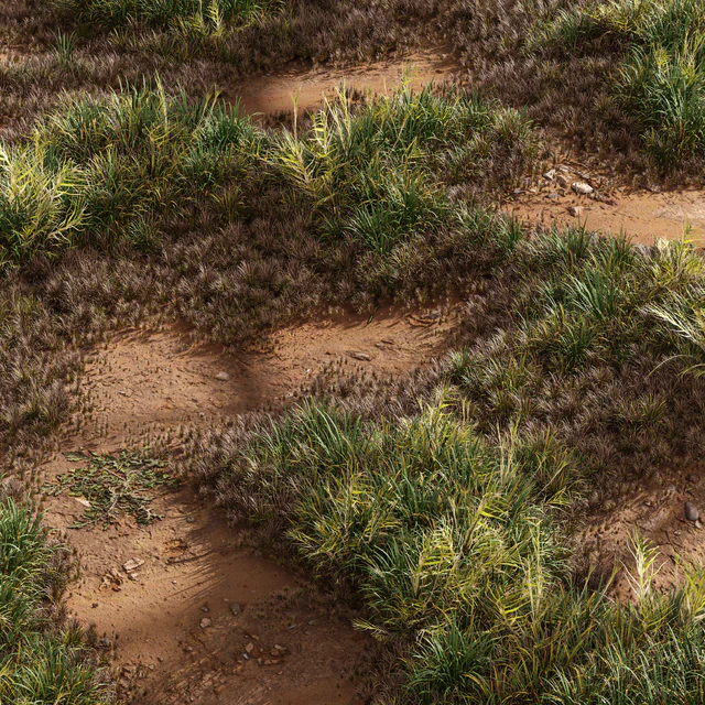 Meadow Lawn Grassland Set 003 — Descargar