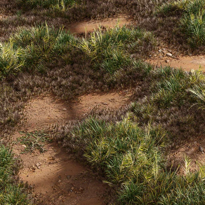 Meadow Lawn Grassland Set 003 — Ver 6