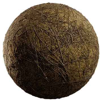 pine needles 013 — Descargar