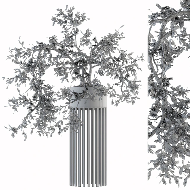 indoor Plant Set 198 - Bonsai in pot — Descargar