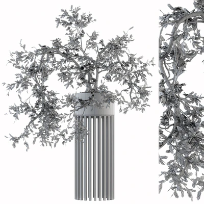 indoor Plant Set 198 - Bonsai in pot — Ver 4