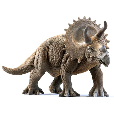 triceratops — Ver 1