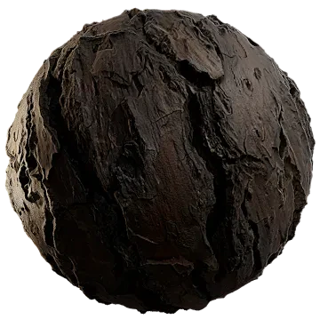 pinus roxburghii tree bark 002 — Descargar