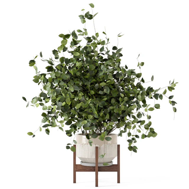 Indoor Plants in rusty Concrete Pot - Set 280 — Скачать