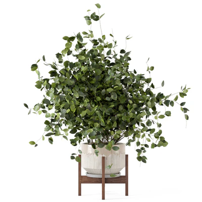 Indoor Plants in rusty Concrete Pot - Set 280 — Вид 7