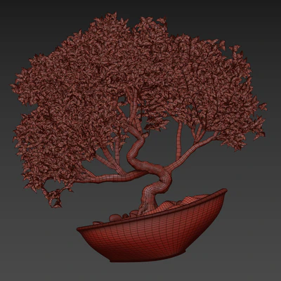 bonsai03 — Вид 4