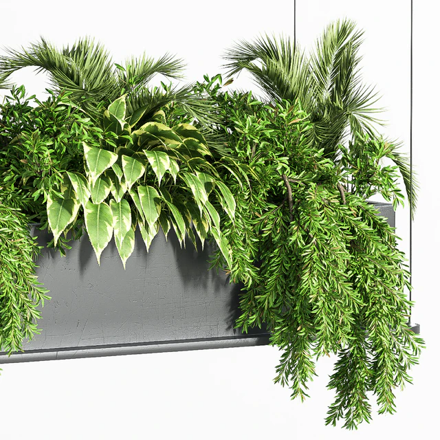 Indoor Plant Set 32  (Hanging Plants) — Descargar