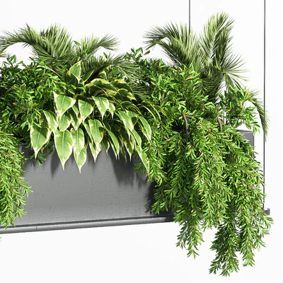 Indoor Plant Set 32  (Hanging Plants) — Ver 7