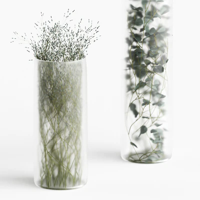 Plants in frosted vases — Ver 3