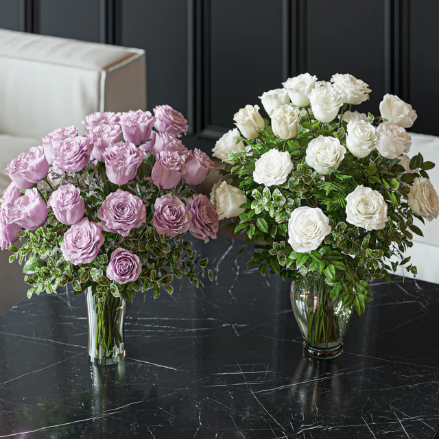 Flower Set 029 White and pink Rose — Descargar