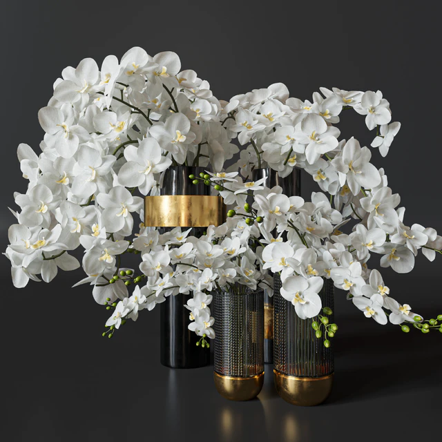 Flower Set 009 Orchids. — Скачать