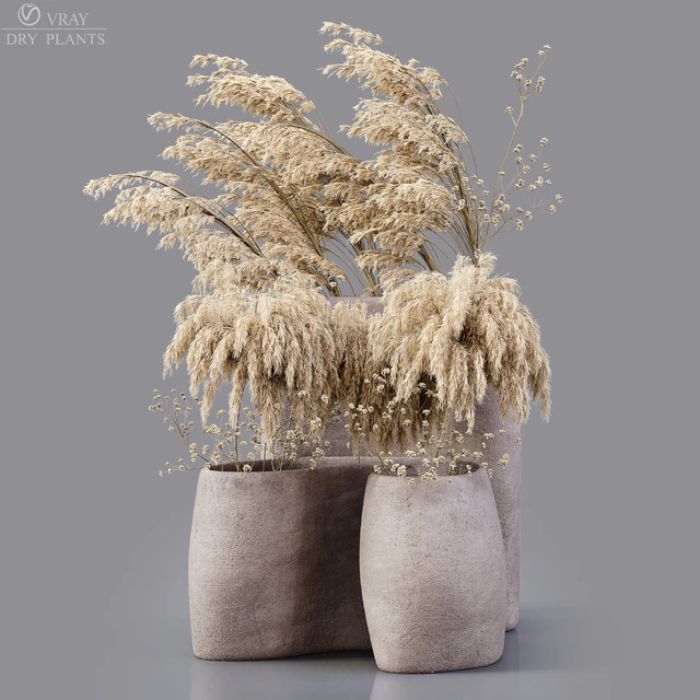 Dry Plants — Скачать