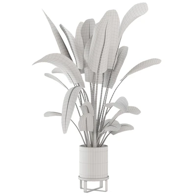 Indoor Plants in Ferm Living Bau Pot Large - Set 173 — Вид 6