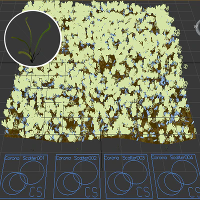Grass for landscaping — Ver 3