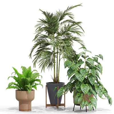 Plants collection 717 — Ver 5