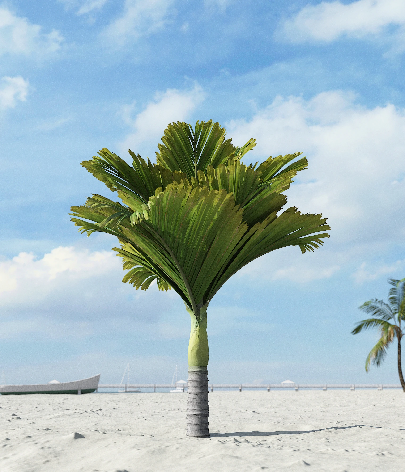 palm trees 034 — Скачать
