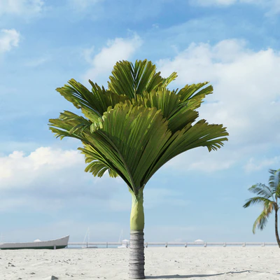 palm trees 034 — Скачать