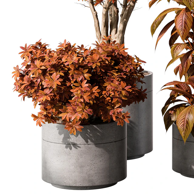 indoor Plant 463 - Tree and Bush — Скачать